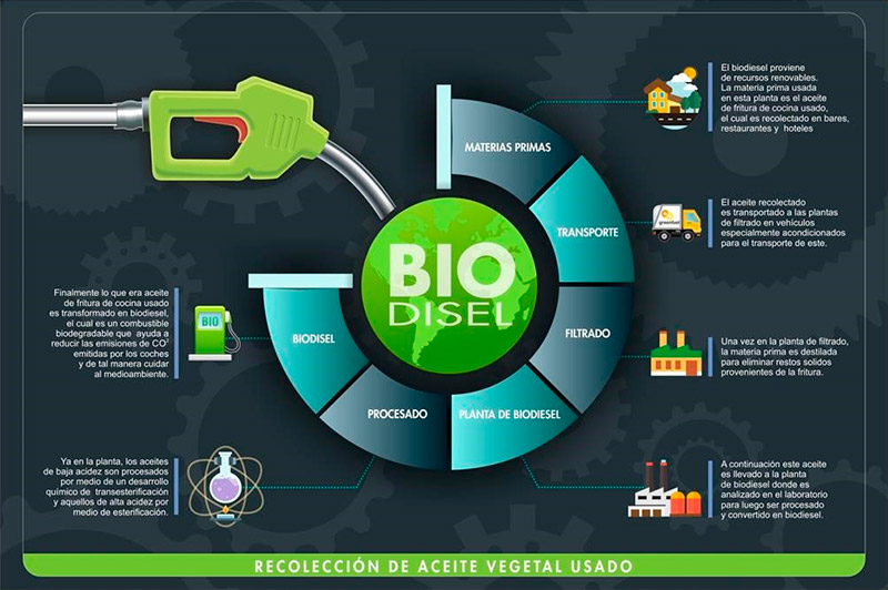 Inforgrafía Biodiesel